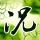 前程无忧